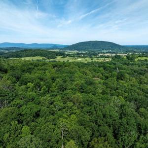 Photo #6 of FREE STATE RD, MARSHALL, VA 6.7 acres