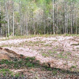 Photo #2 of CURLEY LN, BUMPASS, VA 4.3 acres