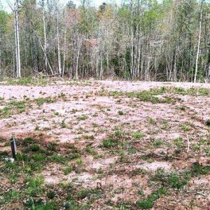 Photo #3 of CURLEY LN, BUMPASS, VA 4.3 acres