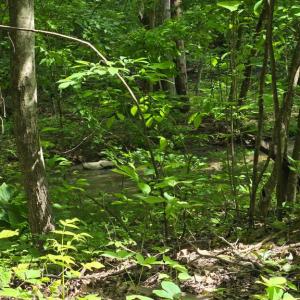 Photo #8 of 4127 HARDSCRABBLE, LINDEN, VA 13.2 acres