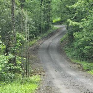 Photo #14 of 4127 HARDSCRABBLE, LINDEN, VA 13.2 acres