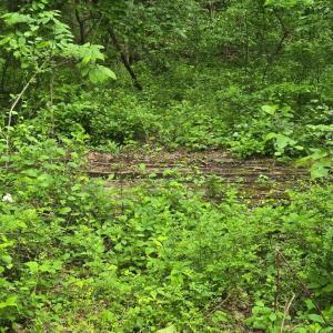 Photo #2 of 4127 HARDSCRABBLE, LINDEN, VA 13.2 acres