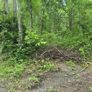 Photo #6 of 4127 HARDSCRABBLE, LINDEN, VA 13.2 acres