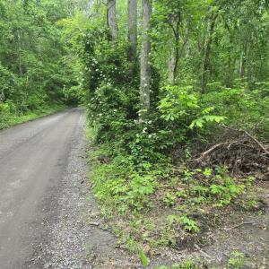 Photo #20 of 4127 HARDSCRABBLE, LINDEN, VA 13.2 acres