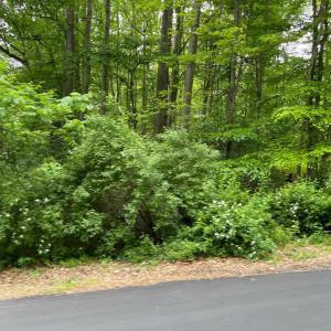 Photo #1 of 23360 MONROVIA RD, ORANGE, VA 56.0 acres