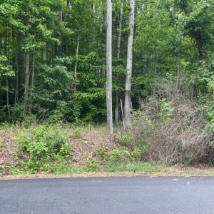 Photo #2 of 23360 MONROVIA RD, ORANGE, VA 56.0 acres