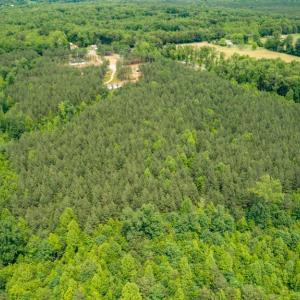 Photo #5 of JEFFERSON HIGHWAY, MINERAL, VA 25.1 acres