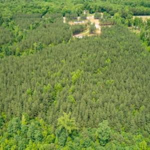 Photo #4 of JEFFERSON HIGHWAY, MINERAL, VA 25.1 acres