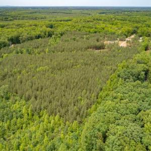 Photo #2 of JEFFERSON HIGHWAY, MINERAL, VA 25.1 acres
