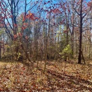 Photo #6 of FOREST EXT DR, LURAY, VA 1.8 acres
