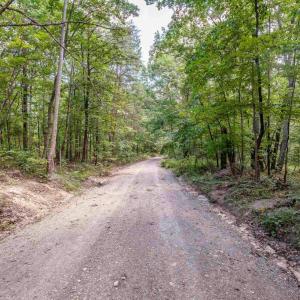 Photo #2 of FOREST EXT DR, LURAY, VA 1.8 acres