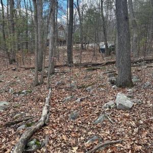 Photo #8 of FOREST EXT DR, LURAY, VA 1.8 acres