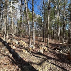 Photo #1 of FOREST EXT DR, LURAY, VA 1.8 acres