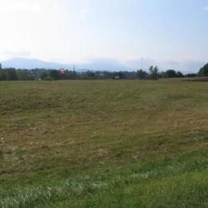 Photo #7 of COTTAGE DR., LURAY, VA 5.8 acres