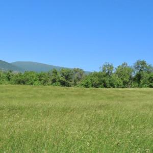Photo #10 of BEN VENUE RD, FLINT HILL, VA 13.2 acres