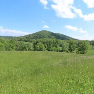 Photo #6 of BEN VENUE RD, FLINT HILL, VA 13.2 acres