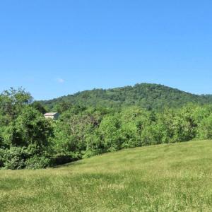 Photo #8 of BEN VENUE RD, FLINT HILL, VA 13.2 acres
