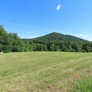 Photo #4 of BEN VENUE RD, FLINT HILL, VA 13.2 acres