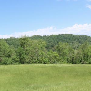 Photo #8 of BEN VENUE RD, FLINT HILL, VA 13.2 acres