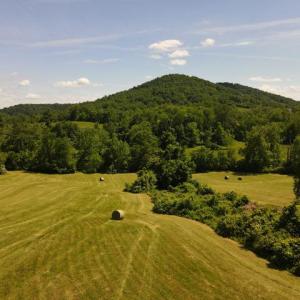 Photo #1 of BEN VENUE RD, FLINT HILL, VA 13.2 acres