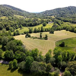 Photo #3 of BEN VENUE RD, FLINT HILL, VA 13.2 acres