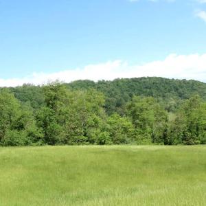 Photo #5 of BEN VENUE RD, FLINT HILL, VA 13.2 acres