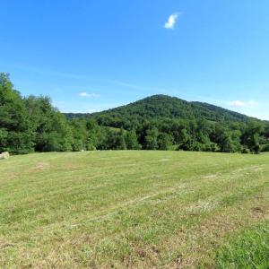 Photo #8 of BEN VENUE RD, FLINT HILL, VA 13.2 acres