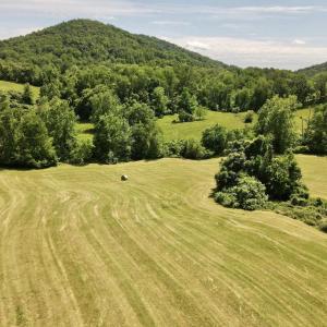 Photo #2 of BEN VENUE RD, FLINT HILL, VA 13.2 acres