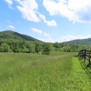 Photo #1 of BEN VENUE RD, FLINT HILL, VA 13.2 acres