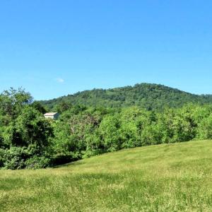 Photo #11 of BEN VENUE RD, FLINT HILL, VA 13.2 acres