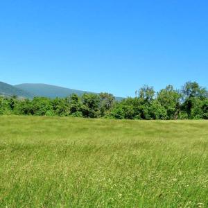 Photo #13 of BEN VENUE RD, FLINT HILL, VA 13.2 acres