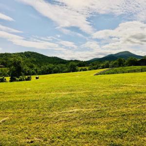 Photo #4 of BEN VENUE RD, FLINT HILL, VA 13.2 acres