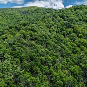 Photo #11 of HELMS RD, STANLEY, VA 1.2 acres