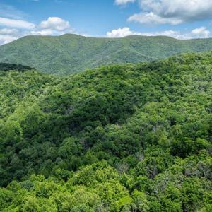 Photo #1 of HELMS RD, STANLEY, VA 1.2 acres