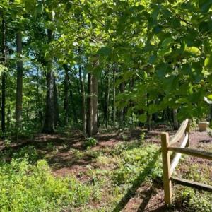 Photo #7 of 12511 HAWKINS LN, SPOTSYLVANIA, VA 0.5 acres