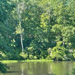 Photo #2 of 12511 HAWKINS LN, SPOTSYLVANIA, VA 0.5 acres