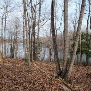 Photo #11 of 12511 HAWKINS LN, SPOTSYLVANIA, VA 0.5 acres