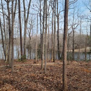 Photo #10 of 12511 HAWKINS LN, SPOTSYLVANIA, VA 0.5 acres