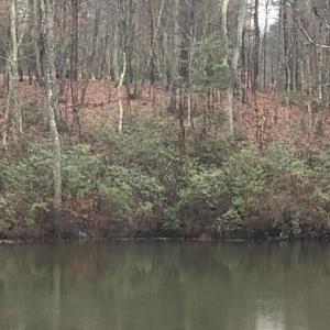 Photo #9 of 12511 HAWKINS LN, SPOTSYLVANIA, VA 0.5 acres