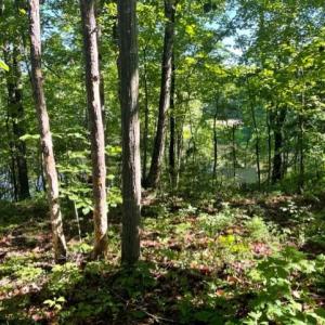 Photo #4 of 12511 HAWKINS LN, SPOTSYLVANIA, VA 0.5 acres