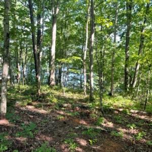 Photo #6 of 12511 HAWKINS LN, SPOTSYLVANIA, VA 0.5 acres
