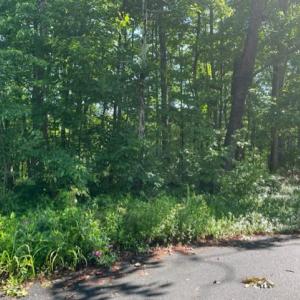 Photo #8 of 12511 HAWKINS LN, SPOTSYLVANIA, VA 0.5 acres