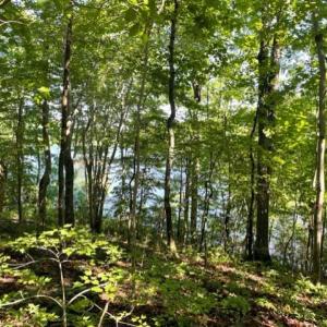 Photo #3 of 12511 HAWKINS LN, SPOTSYLVANIA, VA 0.5 acres