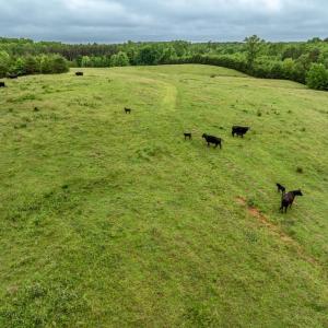 Photo #28 of 50 ELIZABETH, LOUISA, VA 28.5 acres