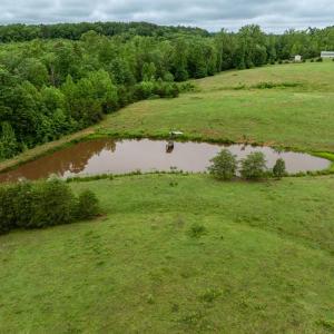 Photo #36 of 50 ELIZABETH, LOUISA, VA 28.5 acres