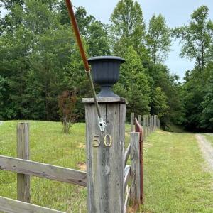 Photo #43 of 50 ELIZABETH, LOUISA, VA 28.5 acres