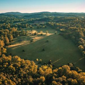 Photo #4 of HARTS MILL RD, WARRENTON, VA 87.0 acres
