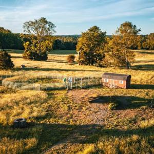 Photo #8 of HARTS MILL RD, WARRENTON, VA 87.0 acres