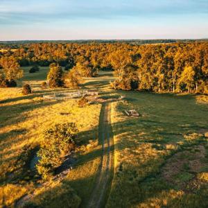 Photo #11 of HARTS MILL RD, WARRENTON, VA 87.0 acres