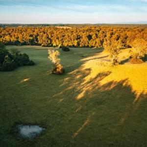 Photo #7 of HARTS MILL RD, WARRENTON, VA 87.0 acres